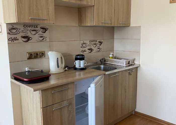 Sylwia Z Aneksami Kuchennymi W Kazdym Pokoju Homestay *